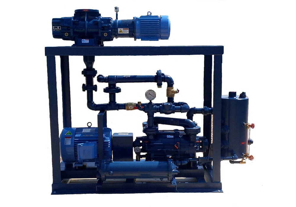 Vacuum System (Double Stage Liquid Ring Vacuum Pump + Vacuum Booster)